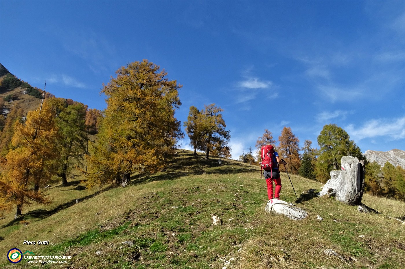 40 In decisa salita con spettacolo di colori autunnali.JPG